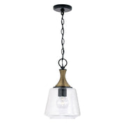 Capital Lighting Amara 9-Inch Mini Pendant in Matte Black and Brass
