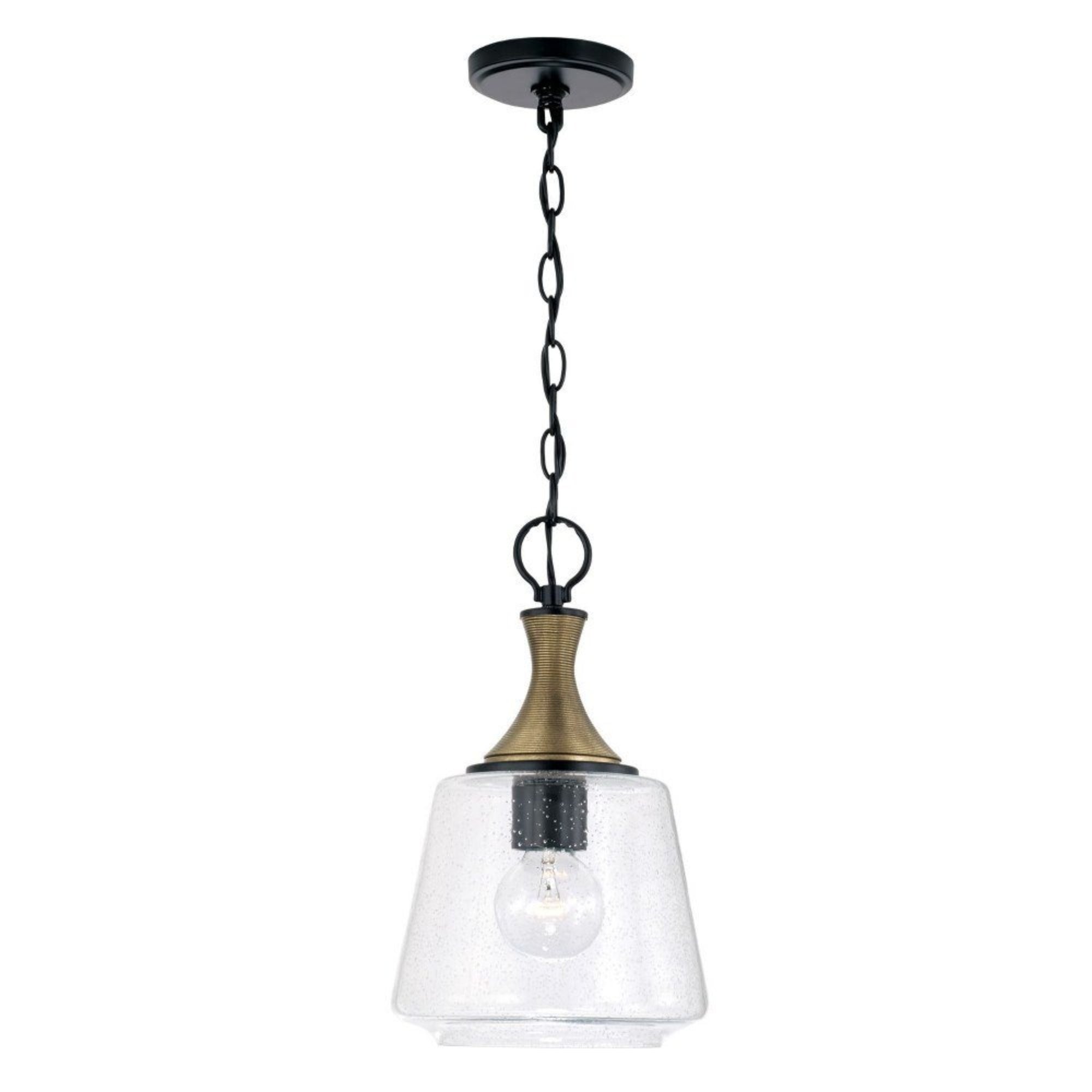 Capital Lighting Amara 9-Inch Mini Pendant in Matte Black and Brass
