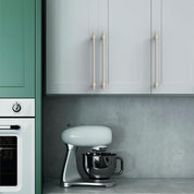 Asidrama 10 Pack – 10 Inch (254mm) Gold and Brushed Satin Nickel Kitchen Cabinet Handles