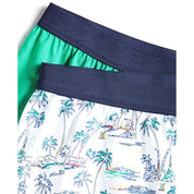 Club Room Men's 2-Pack Tropical & Solid Boxer Shorts – Green