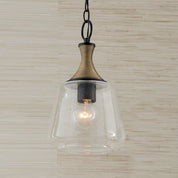 Capital Lighting Amara 9-Inch Mini Pendant in Matte Black and Brass