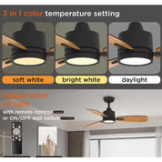 Indoor Ceiling Fan With Remote 42 Inch Reversible Quiet DC Motor Black Timer