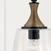 Capital Lighting Amara 9-Inch Mini Pendant in Matte Black and Brass