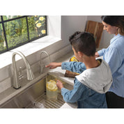 DWQ4001002 1.5 GPM Reverse Osmosis Beverage Faucet – Brilliance Stainless, Cold Only