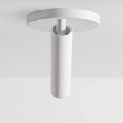 VidaLite Karpo Pinhole LED Spotlight - Matte White