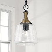 Capital Lighting Amara 9-Inch Mini Pendant in Matte Black and Brass