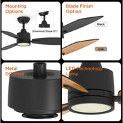 Indoor Ceiling Fan With Remote 42 Inch Reversible Quiet DC Motor Black Timer