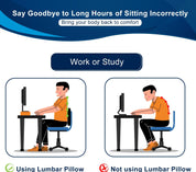 Lumbar Support Pillow – Memory Foam Back Cushion for Office & Gaming Chairs – Large Ergonomic Lower Back Support