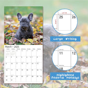 Windrio 2025 Wall Calendar – Bulldogs Theme, January to December 2025, 12" x 24" Opened