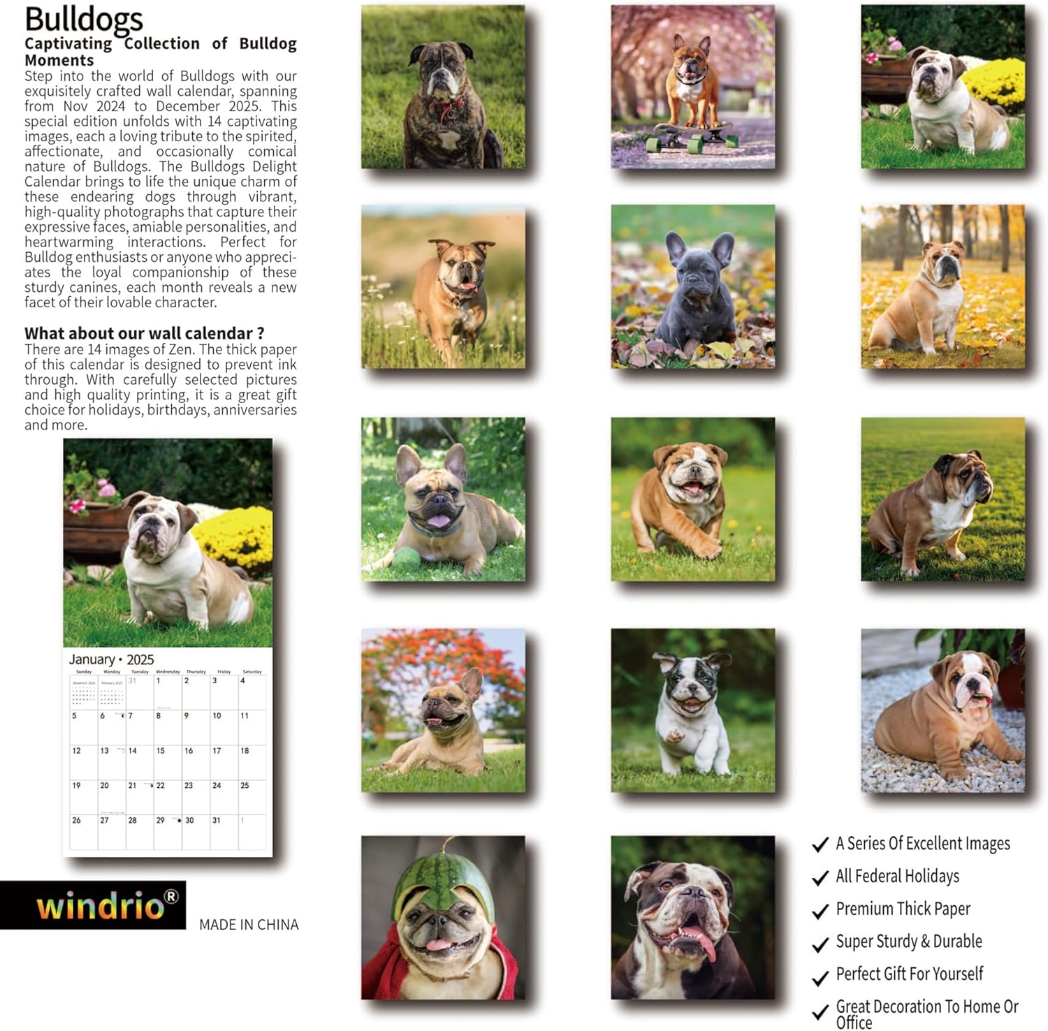 Windrio 2025 Wall Calendar – Bulldogs Theme, January to December 2025, 12" x 24" Opened