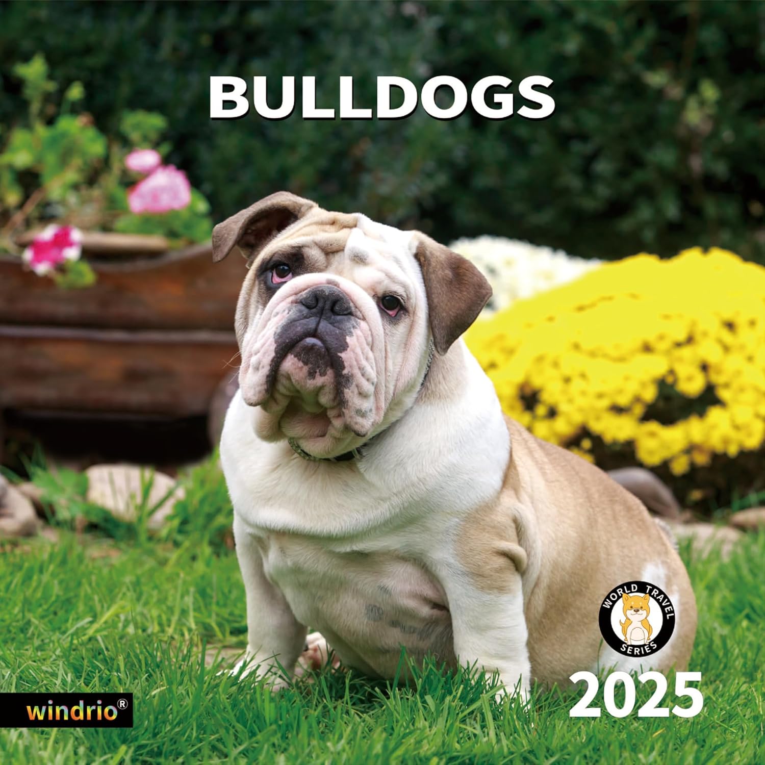 Windrio 2025 Wall Calendar – Bulldogs Theme, January to December 2025, 12" x 24" Opened
